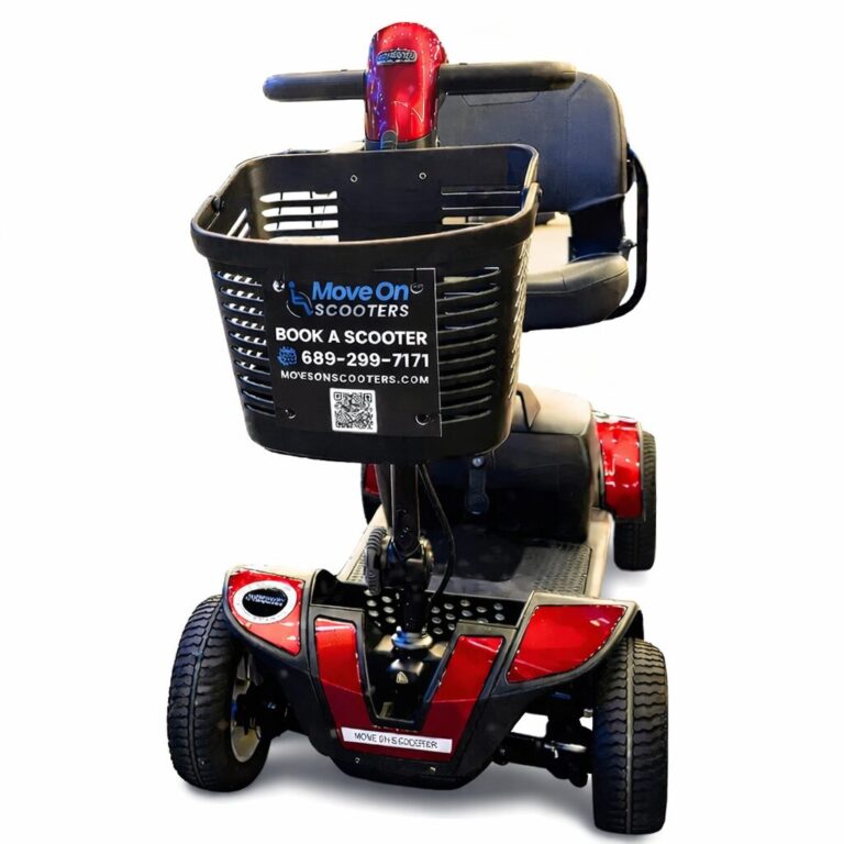 ChatGPT Image Feb 11, 2026, 09_57_55 AM